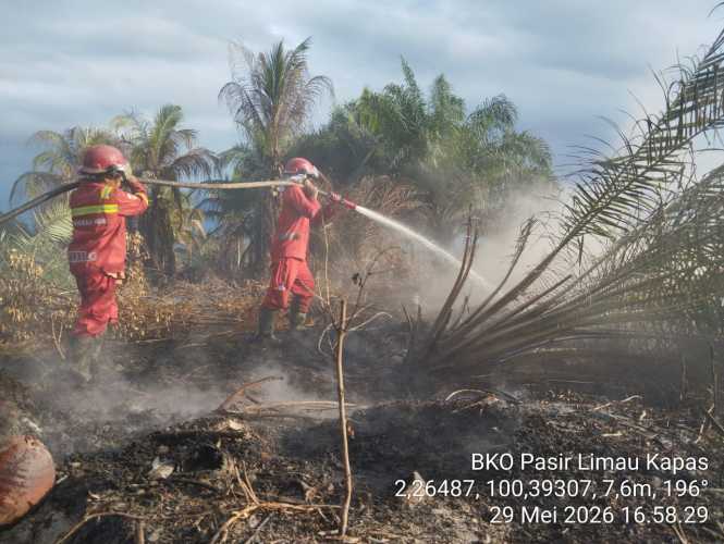 Manggala Agni Hadapi Tiga Karakteristik Karhutla Berbeda di Siak, Rohil, dan Pelalawan
