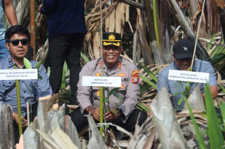 Polres Inhil Bersama Forkopimda Tanam 5.000 Bibit Mangrove Serentak dan di 21 Polsek Jajaran Peringati Hari Mangrove Sedunia