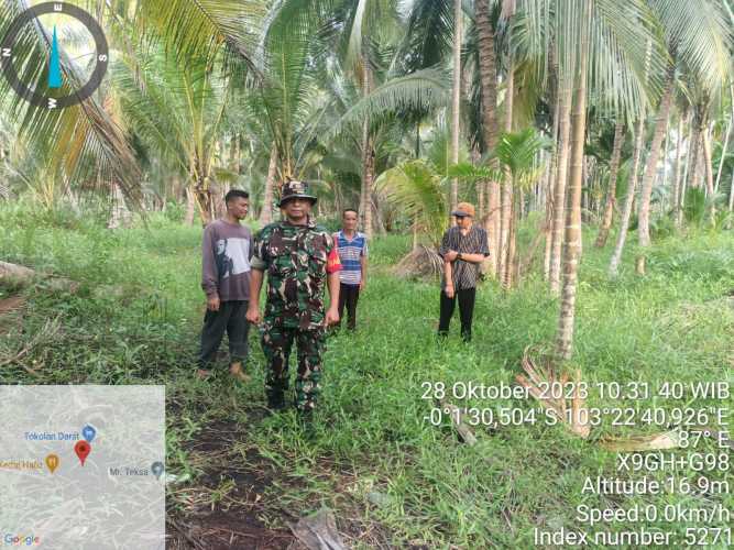 Babinsa Tegaskan Warga Tidak Melakukan Aktifitas Pembakaran di Lahan Kebun