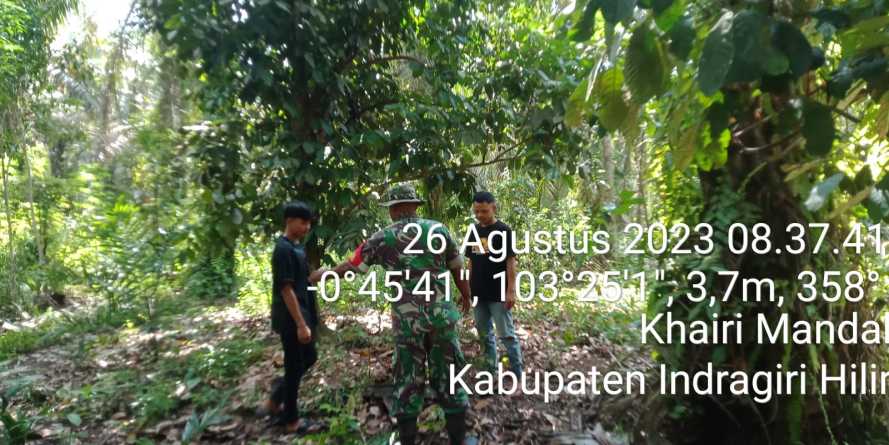 Kopda Sudarwis Lakukan Patroli Karhutlah Menyusuri Wilayah Perkebunan