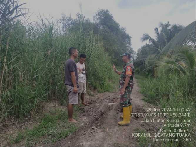 Serda Pernando Menjaga Forestisasi Lahan Setempat