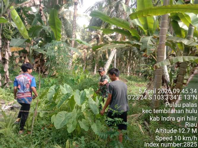 Cegah Pelanggaran Wilayah, Danposramil 01/Tembilahan Intensifkan Patroli Perbatasan