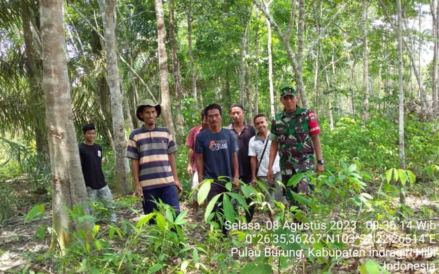 Sertu Arlansyah adaptasi Situasi Terkini Lahan Binaan