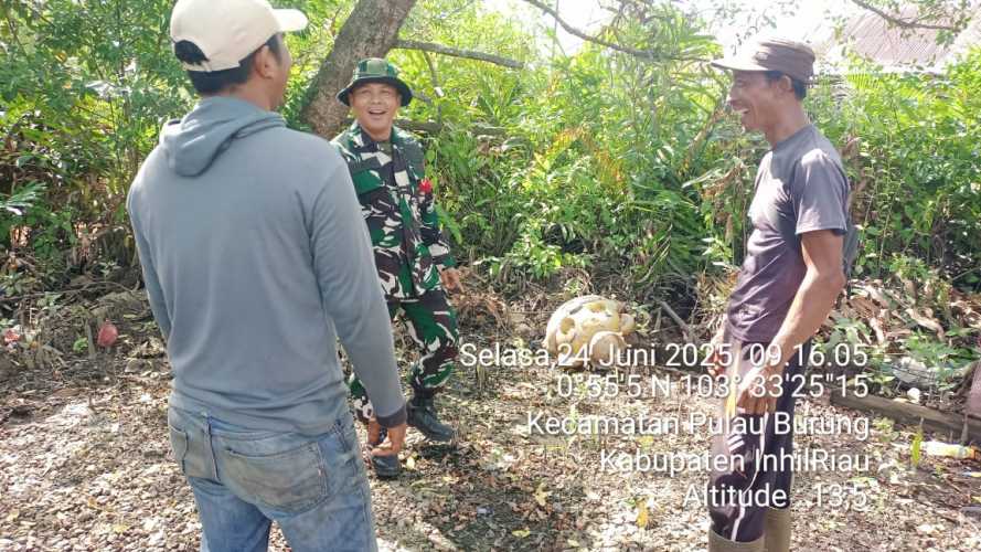 Babinsa Koramil 11/PBR Aktif Patroli Cegah Karhutla untuk Jaga Ekosistem Wilayah