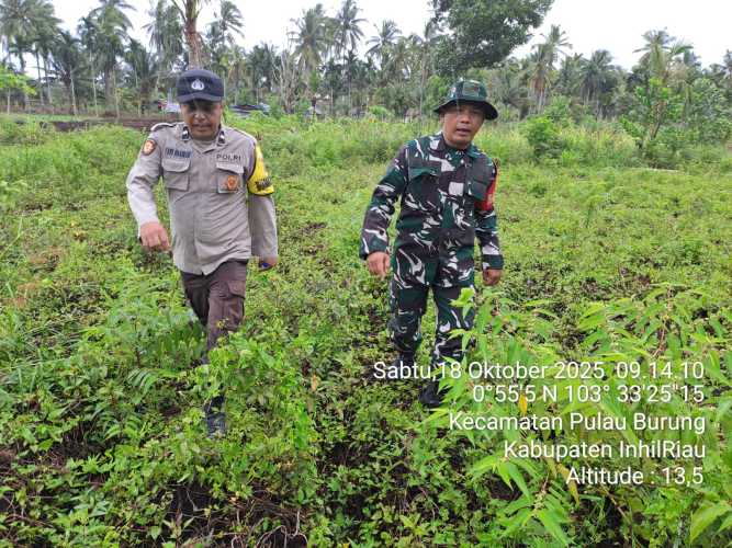 Babinsa Koramil 11/Pulau Burung Pastikan Lahan Ketahanan Pangan di Teluk Nibung Bebas Alih Fungsi