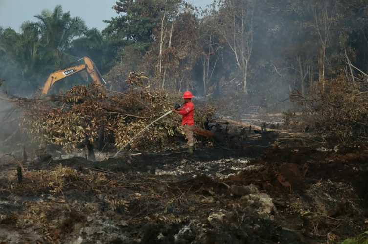 Penanganan Karhutla Maksimal, Riau Dikeluarkan dari Daftar Provinsi Prioritas Nasional