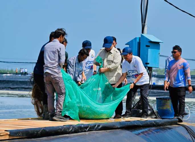 Presiden Prabowo Panen Raya Udang di BUBK Kebumen, Perkuat Budi Daya Modern dan Ketahanan Pangan Nasional