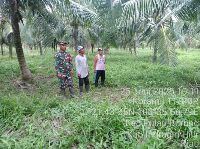 Babinsa Koramil 11/PBR Pantau Situasi Karhutla di Desa Pulau Burung