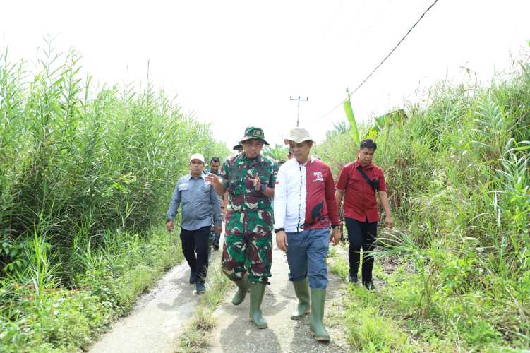 Pj.Bupati didampingi Dandim Meninjau Lokasi Pencanangan Penanaman Padi Serentak