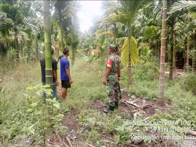 Situasi Berawan,Babinsa Pulau Burung Gelar Patroli Bersama