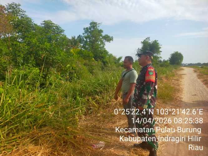 Babinsa Pulau Burung Gelar Patroli Tapal Batas, Awasi Situasi Lahan dan Hutan