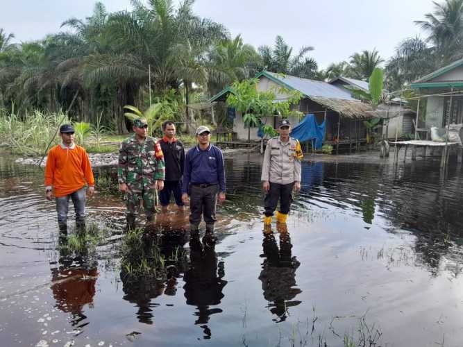 Pemdes Pulau Palas Tinjau Bencana Banjir di Wilayah Dusun Sei Buluh