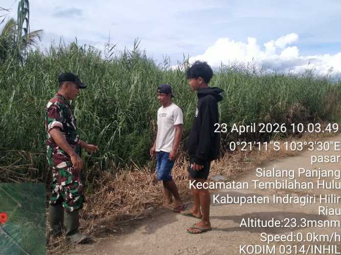 Babinsa Serka Masri Laksanakan Screening Tapal Batas Wilayah di Desa Sialang Panjang