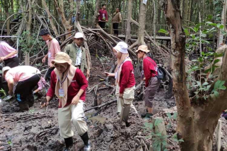 Projek Penguatan Profil Pelajar Pancasila (P5) SMAN 9 Pekanbaru Belajar di Hutan Mangrove