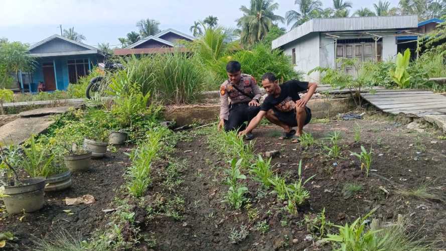 Fokuskan Ketahanan Pangan, Personel Polsek Manfaarkan Pekarangan Rumah Warga