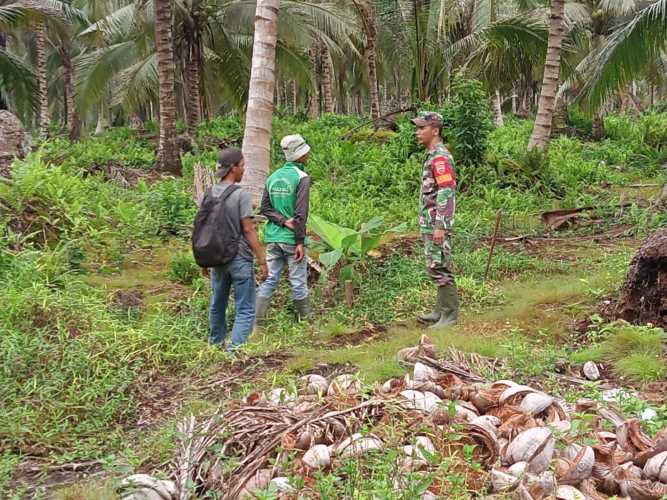 Babinsa Kelola Penangananan Karhutlah dengan Baik