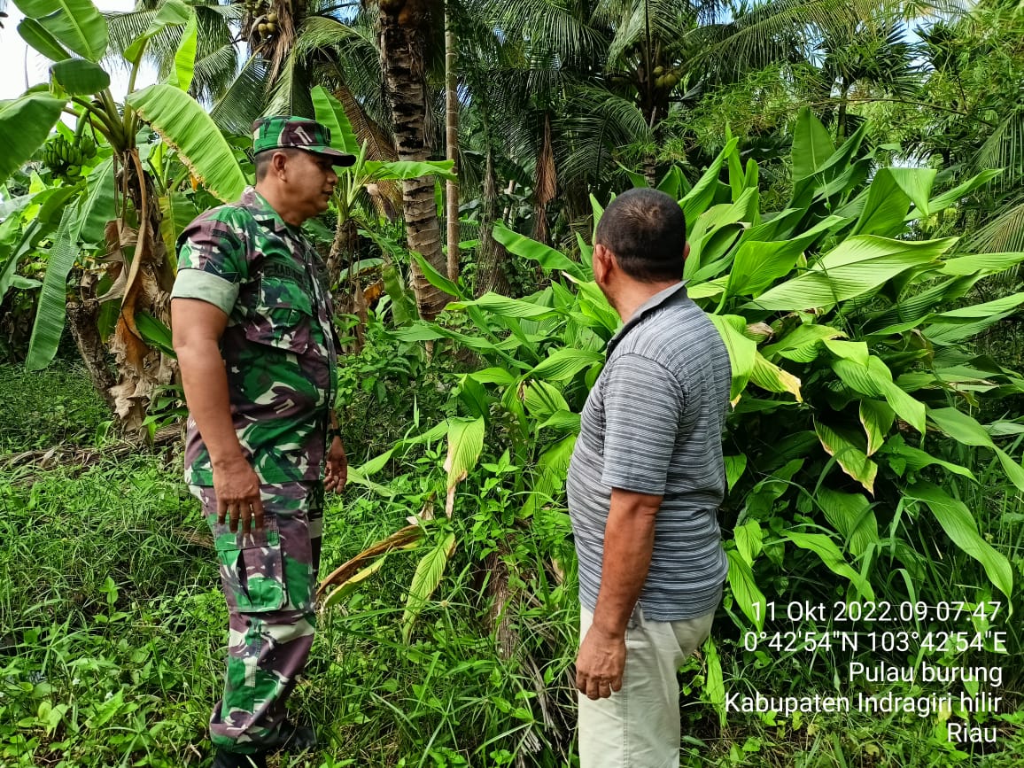 Sertu Kadirus Babinsa Koramil 11/Pulau Burung Kebut Sosialisasi Karhutlah