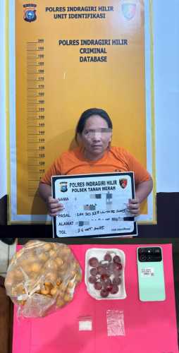 Ibu di Sungai laut Ini Edarkan Sabu Lewat Paket Buah Buahan