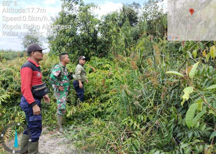 Babinsa Cek Lahan Konsesi  secara teratur