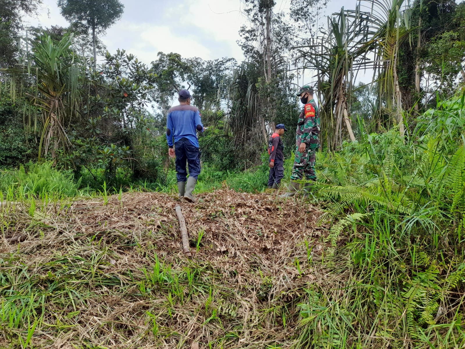 Serda Sahdi Idaman Patroli Keliling Lahan Konsesi