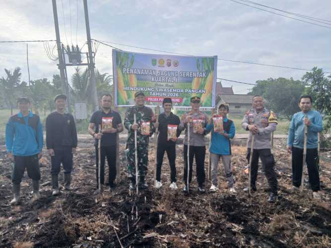 Serda Ahmad Feri Wakili Danramil Hadiri Penanaman Jagung Kuartal I  di Desa Manunggal Jaya
