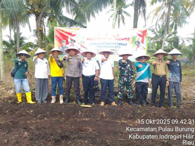 Babinsa Sertu Siswanto Wakili Danramil 11/Pulau Burung dalam Kegiatan Penanaman Jagung Program Ketahanan Pangan Bumdes Serumpun Jaya