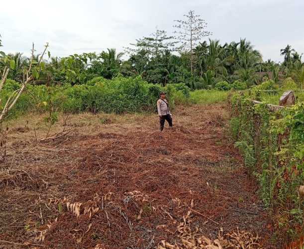Perkuat Ketahanan Pangan, Polsek Kuindra Bersihkan Lahan untuk Tanam Jagung F1 Super