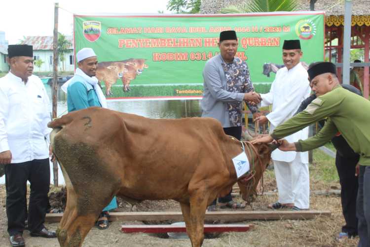 Hari Raya Idul Adha 1444 H, Kodim 0314/Inhil Lakukan Penyembelihan Hewan Kurban