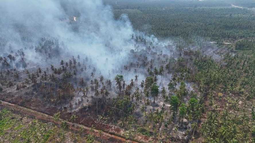 Sepanjang 2026, Polres Inhil Kepung Karhutla dari Segala Arah: Api Dipadamkan, Pelaku Ditindak Tegas