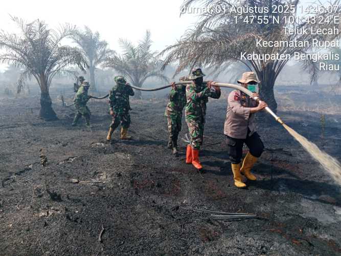 Gunakan Dua Helikopter Water Bombing di Pergam Rupat, 10 Ha  Karhutla Padam
