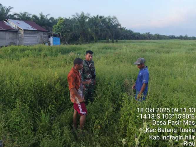 Babinsa Koramil 12/Batang Tuaka Gelar Patroli Tapal Batas Cegah Alih Fungsi Lahan Pertanian di Desa Pasir Mas