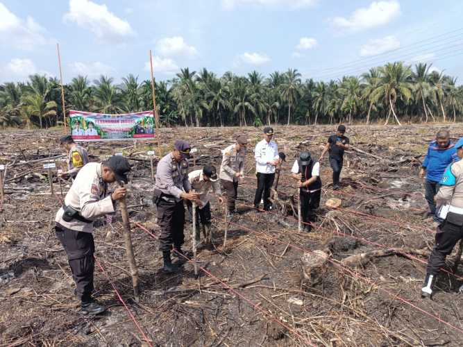 Pemdes Pulau Palas Dukung Astra Cita Lewat Penanaman Jagung Satu Hektare