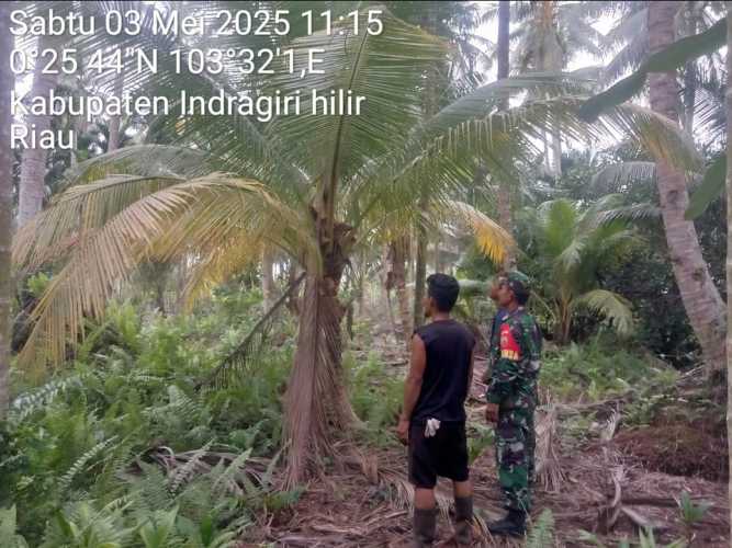 Babinsa Koramil 11/Pulau Burung  Bersama Masyarakat Patroli Cegah Karhutla di Desa Ringin Jaya