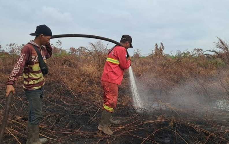 Melawan Bara di Tanah Gambut: Kisah Manggala Agni yang Tak Kenal Lelah