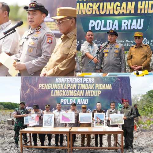 Kapolda Riau Datangi Lokasi Perusakan Mangrove Seluas 118 Hektare di Rohil, 2 Pelaku Ditangkap