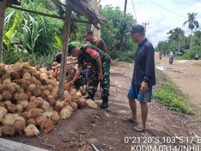 Serka Masri Terus Memantau Pergerakan Harga Kelapa di Wilayahnya