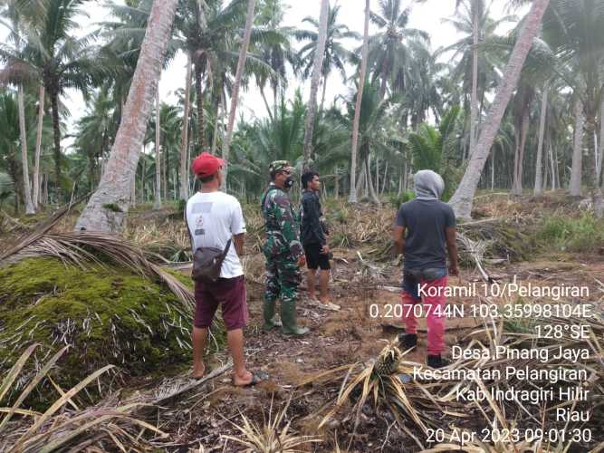 Desa Pinang Jaya Menjadi Konsentrasi Babinsa dalam Penyuluhan Karhutlah