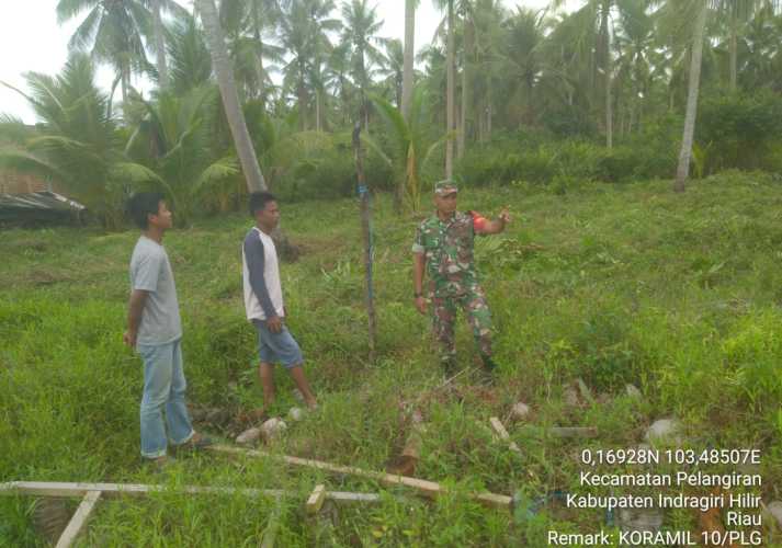 Babinsa Pastikan Tatanan Perkebunan Bebas Karhutlah