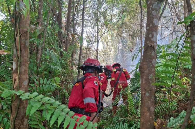 Empat Regu Manggala Agni Dikerahkan untuk Tuntaskan Karhutla di Bengkalis