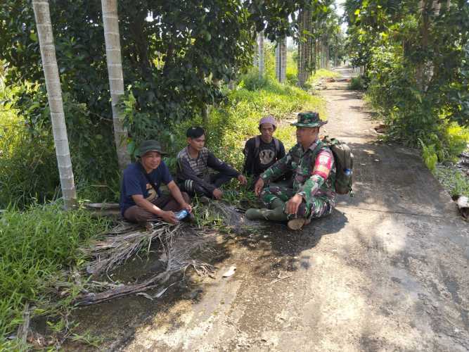 Babinsa Sungai Intan Bina Warga Tani dan Pekebun melalui Komsos
