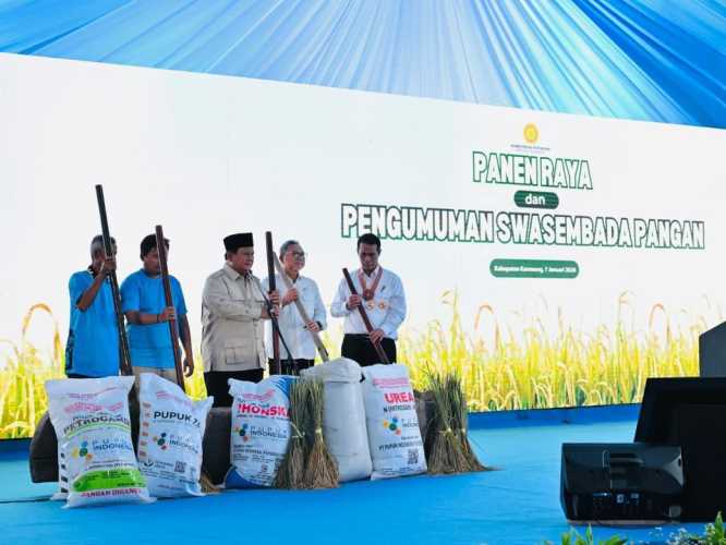 Swasembada Beras, Upaya Pemerintah Perkuat Fondasi Ketahanan Pangan Nasional