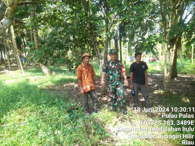 Babinsa Sungai Intan Lakukan Pengawasan Lahan dari Karhutlah