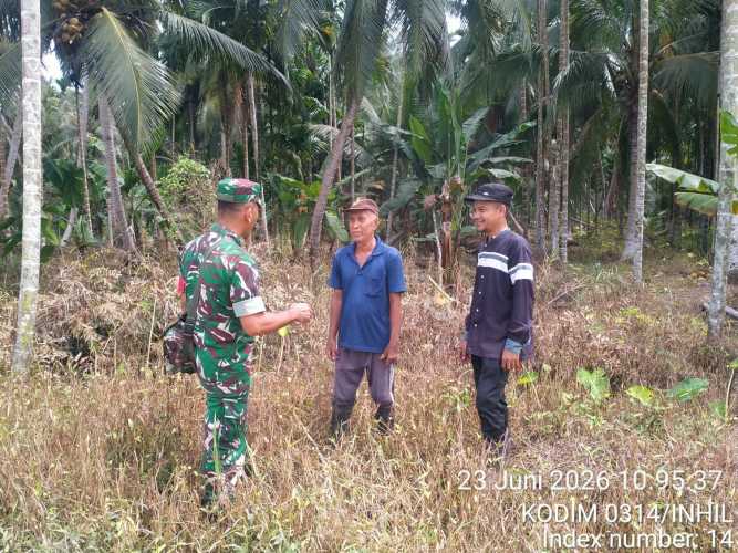 Babinsa Sialang Panjang Update Patroli Tapal Batas