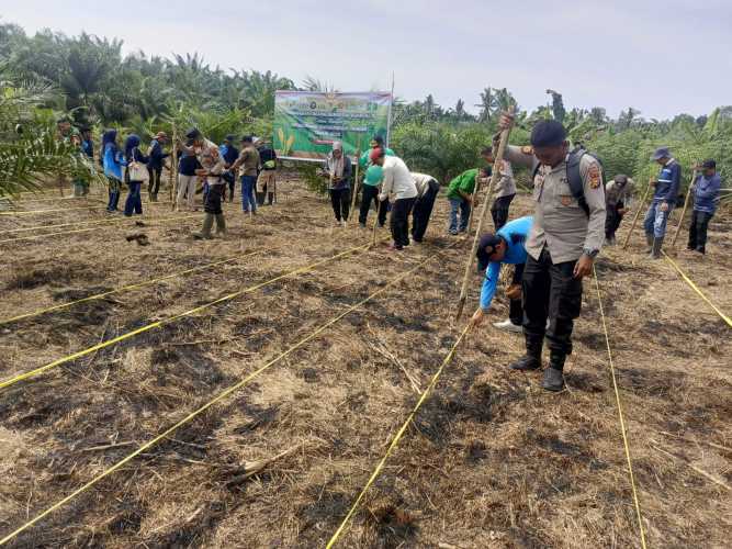 Kapolsek Enok Pimpin Penanaman Jagung Serentak Dukung Ketahanan Pangan Nasional