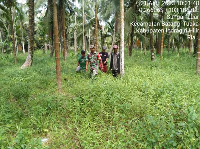 Serda Syafrijon Monitor  Kondisi Karhutlah Daerah Setempat