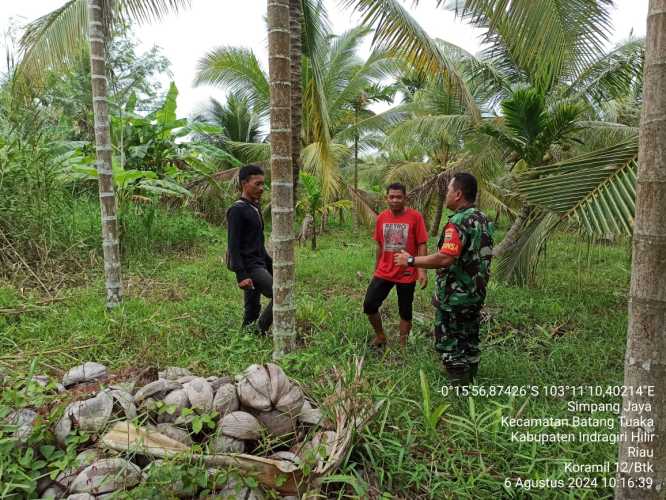 Babinsa Simpang Jaya  Patroli Karhutlah Terpadu