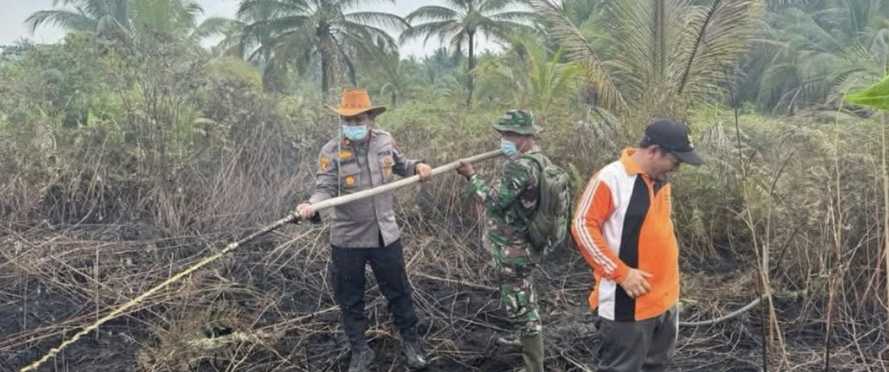 Kapolsek Tembilahan Hulu dan Warga Berjibaku Padamkan Titik Api di Desa Sungai Intan