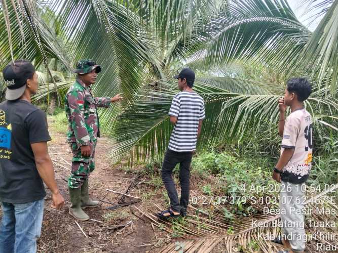 Babinsa Pasir Mas Bergerak Cepat, Edukasi dan Patroli Karhutla Demi Cegah Kebakaran Sejak Dini