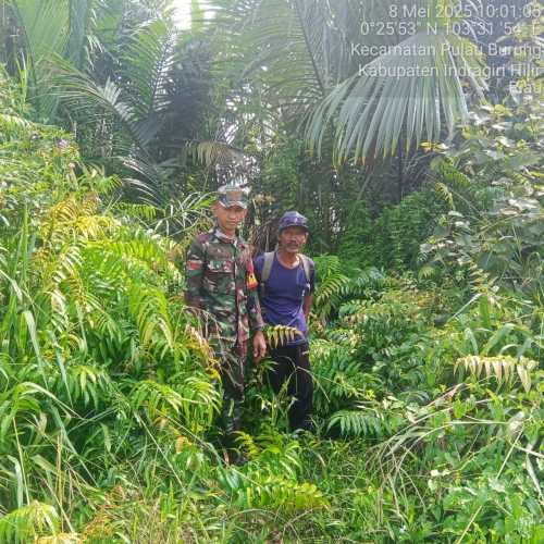 Babinsa Koramil 11/Pulau Burung Tingkatkan Pengamanan Karhutla Melalui Komsos di Desa Manunggal
