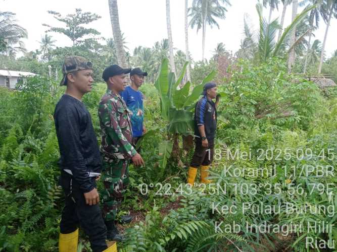 Babinsa Koramil 11/Pulau Burung Lakukan Patroli Cegah Karhutla di Desa Pulau Burung